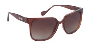 Rusty Dearly Brown Gb10